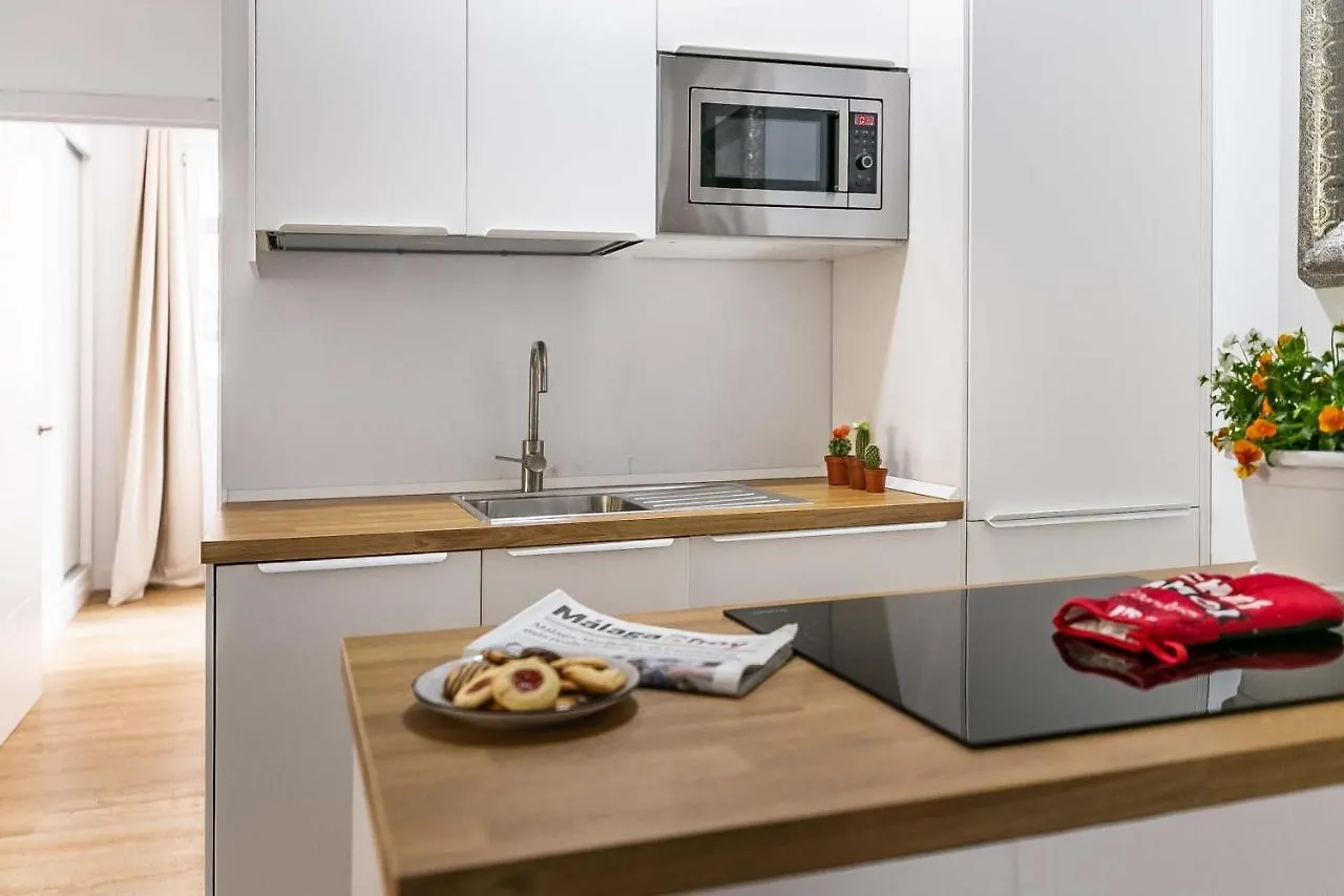 Premium Soho Malaga Lejlighed